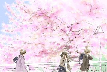 榴莲香蕉草莓绿巨人鲍鱼